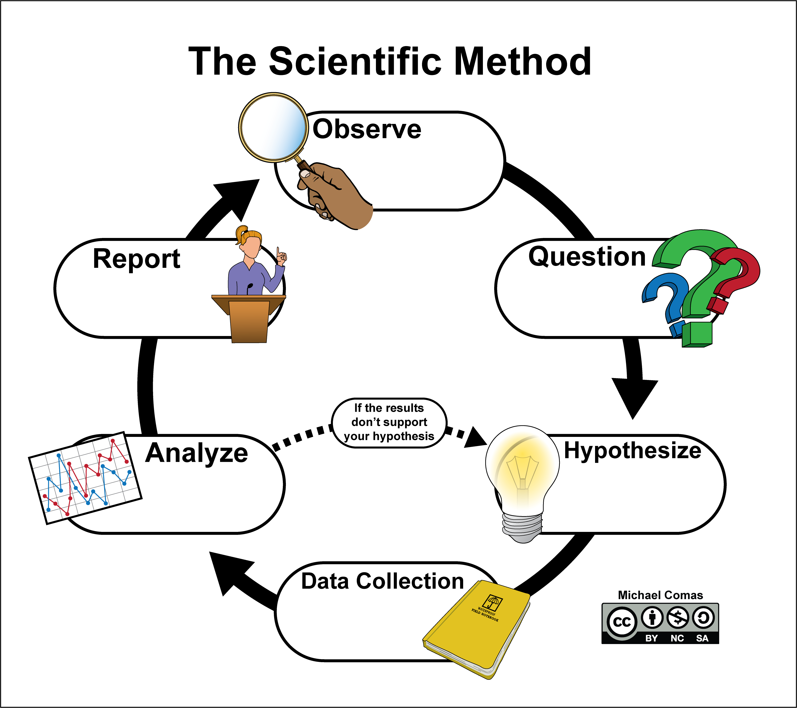 A circular flow chart shows the steps of the scientific method