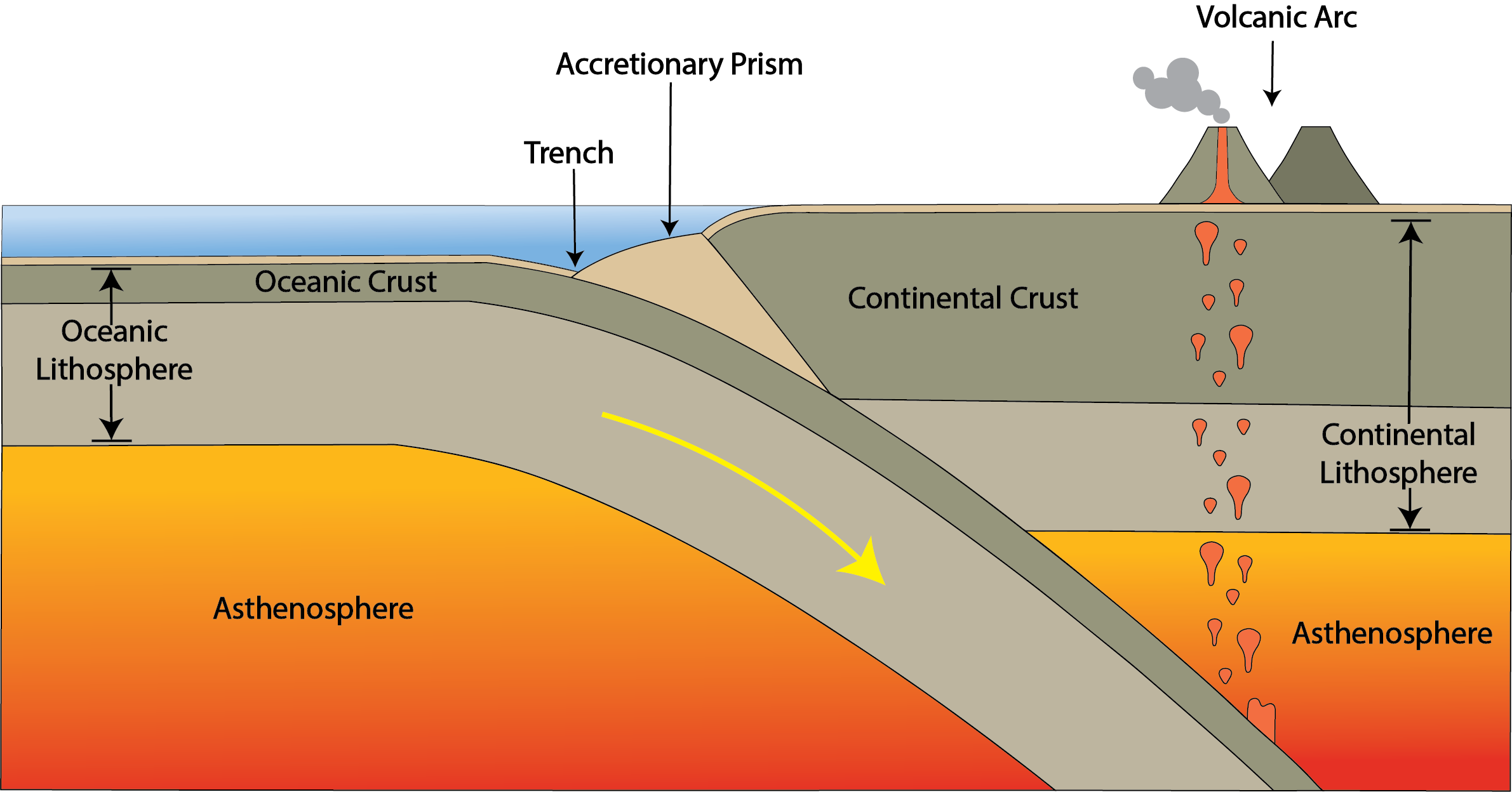 Cross-section of an ocean-continent convergent zone.