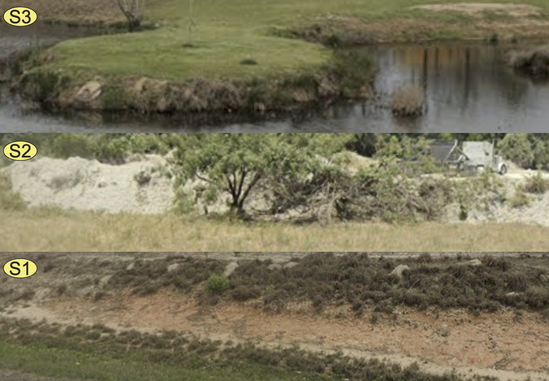 Three outcrops of Wilcox Group TX