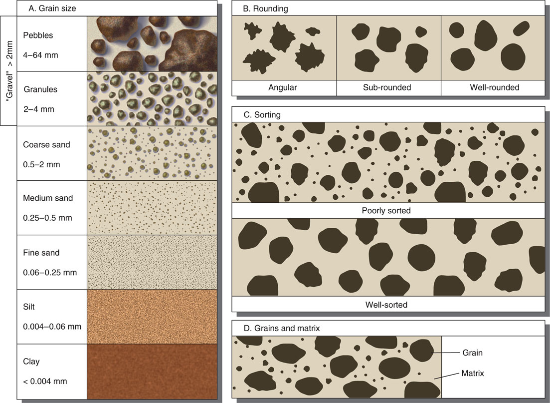 Features of sedimentary rocks.