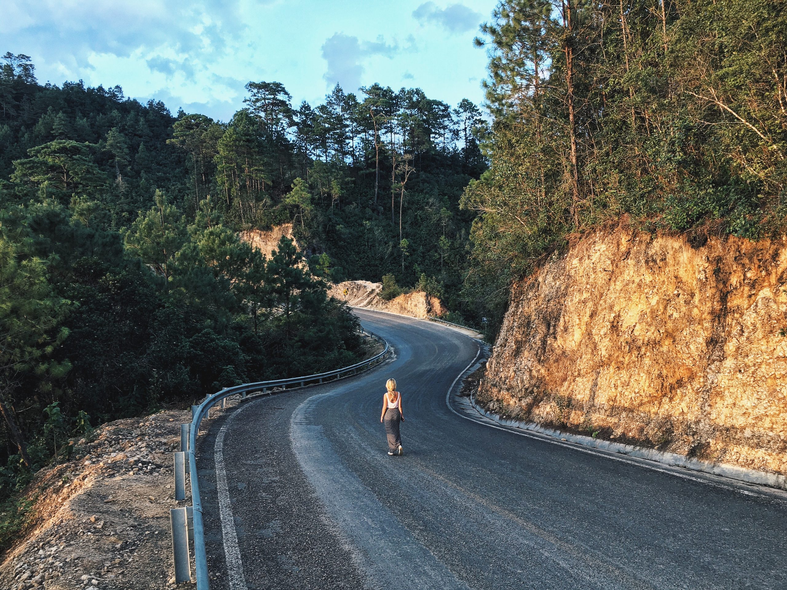 Person walking down a road with trees on either side