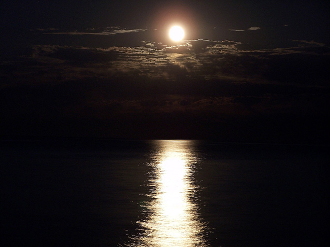 Moonlight reflected by a lake.