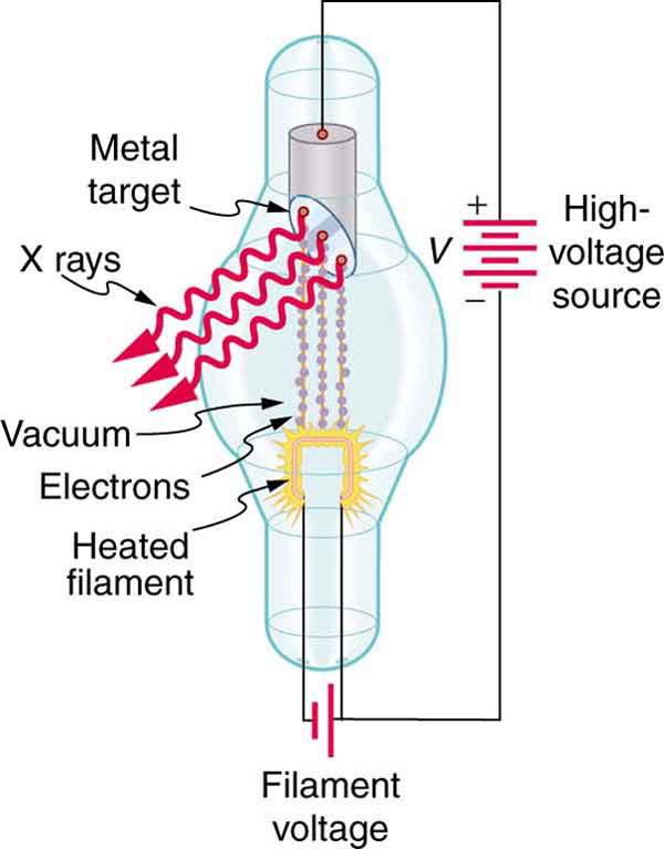 X rays are produced when energetic electrons strike the copper anode of this cathode ray tube (CRT). Electrons (shown here as separate particles) interact individually with the material they strike, sometimes producing photons of EM radiation.