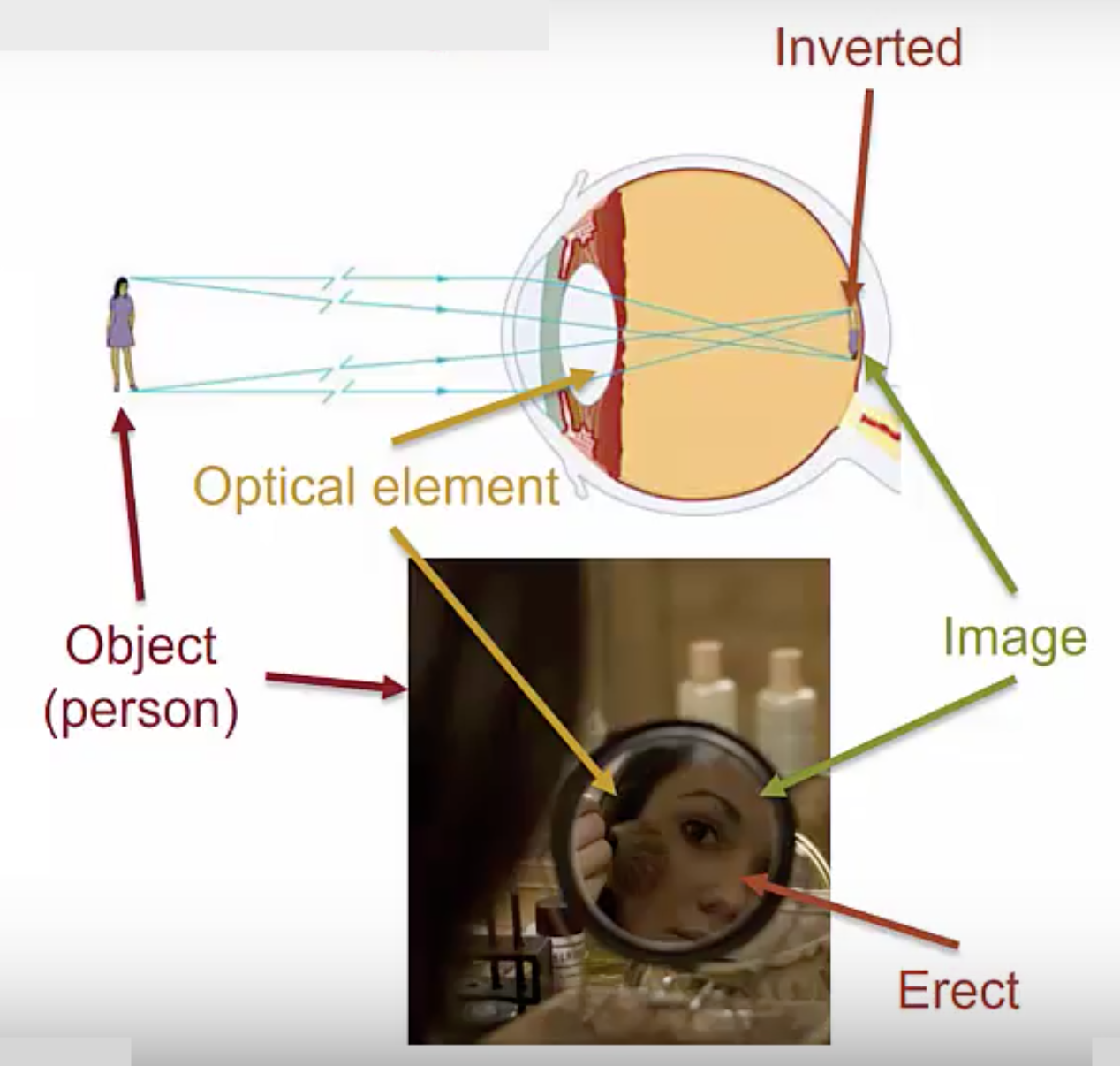 Optical Element